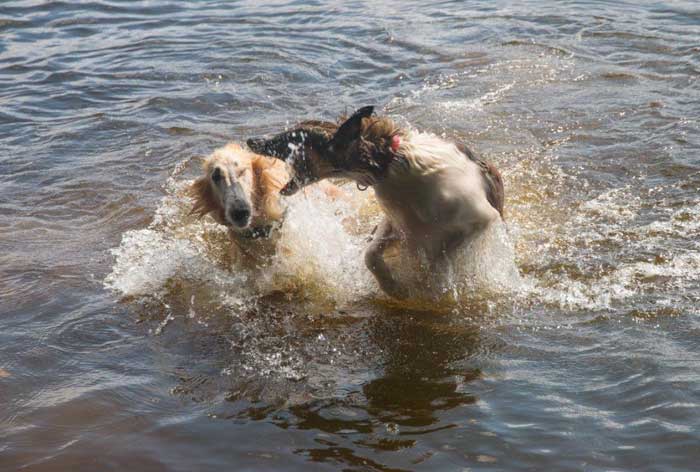 Stepuns Galja und Genadij
